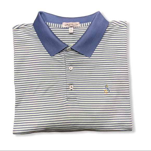 PETER MILLAR CROWN EASE SUMMIT PARK STRIPE POLO - Picture 1 of 6